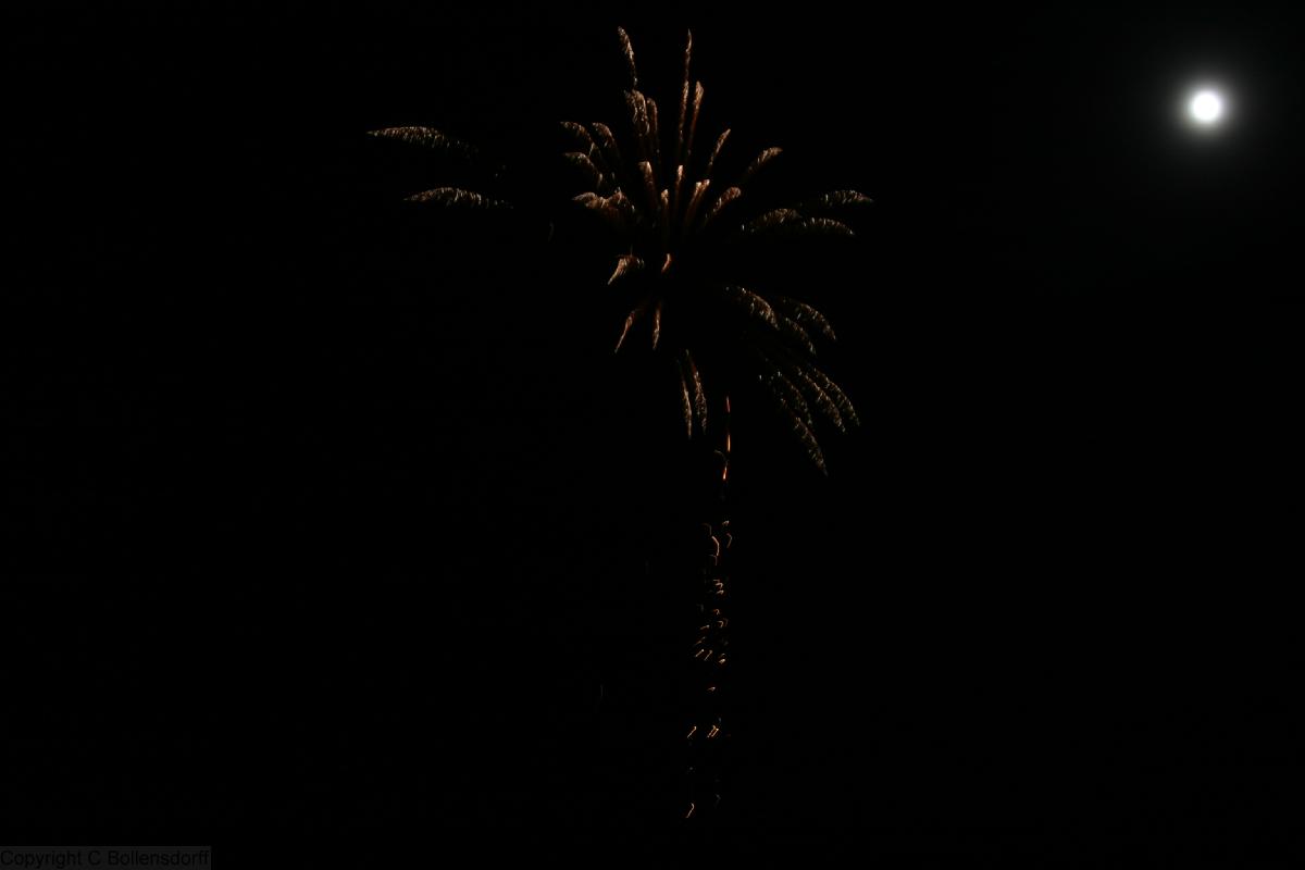 061104_8680 Wolfson College Firework