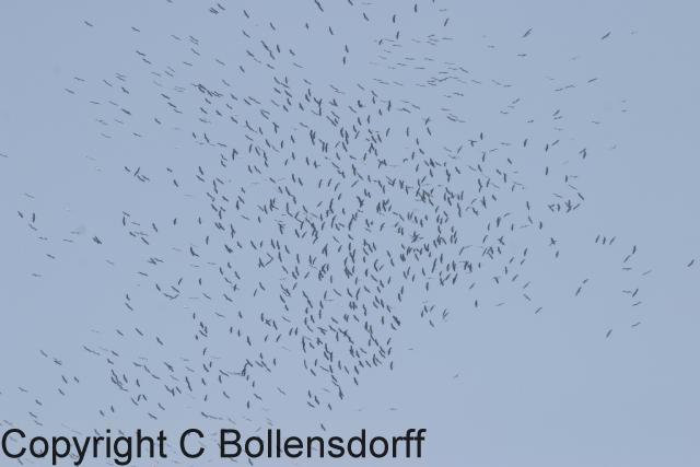 204_0494Bulgaria2004-039