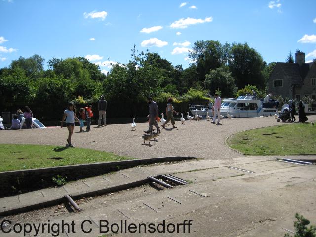 126_0610OxfordJulyAugust2008059