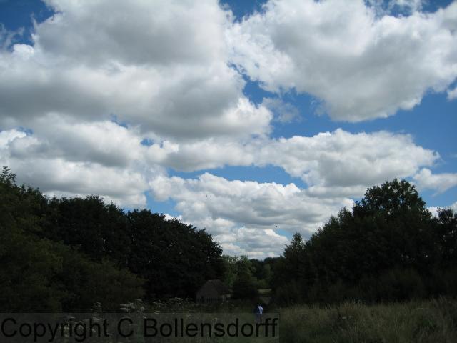 126_0668OxfordJulyAugust2008087