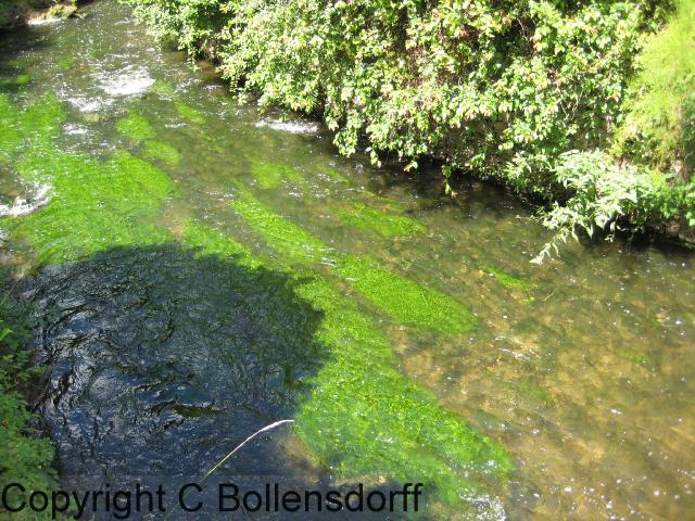 126_0670OxfordJulyAugust2008089