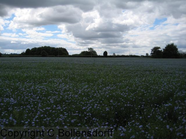 126_0759OxfordJulyAugust2008117