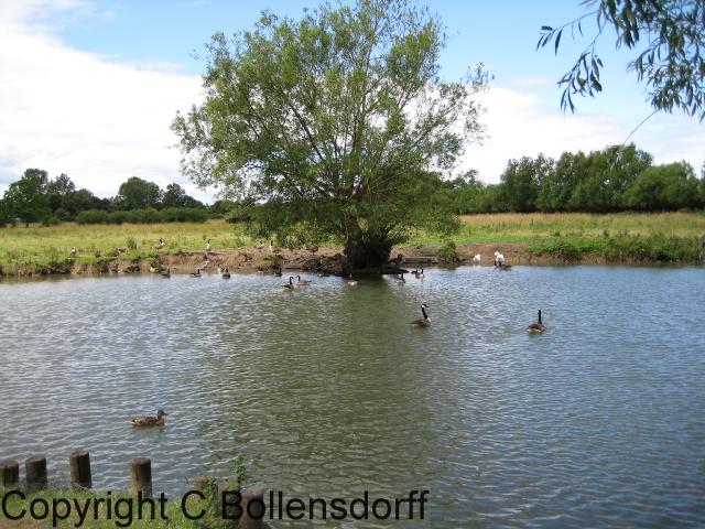 126_0768OxfordJulyAugust2008119