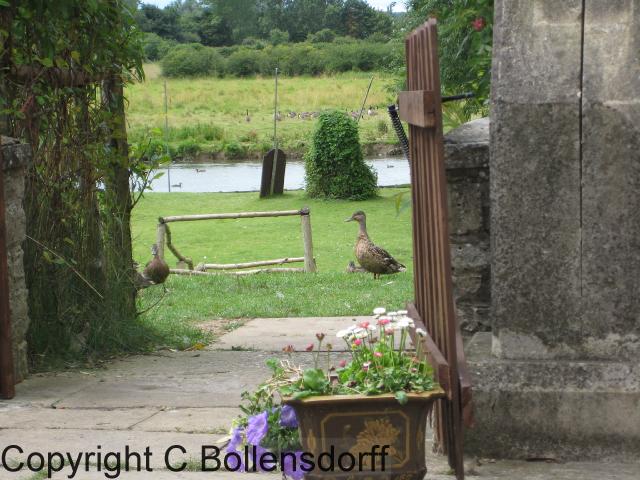 126_0786OxfordJulyAugust2008130