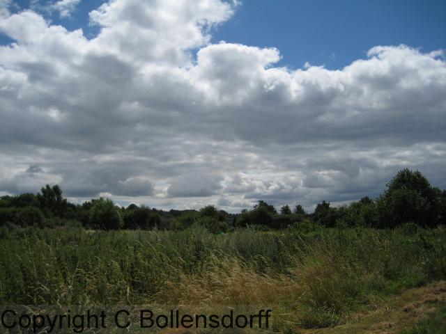 126_0795OxfordJulyAugust2008134