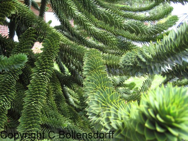 126_0798OxfordJulyAugust2008136