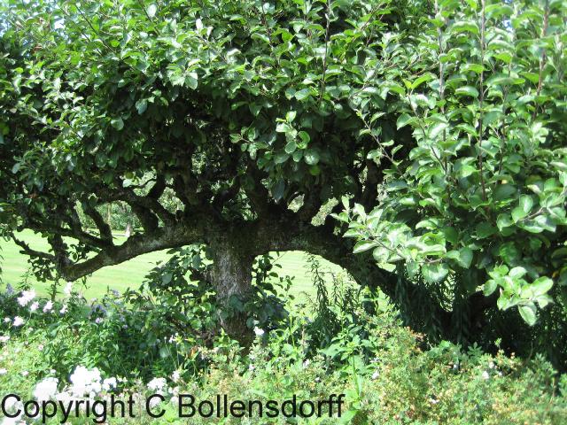 126_1212Oxfordshire085