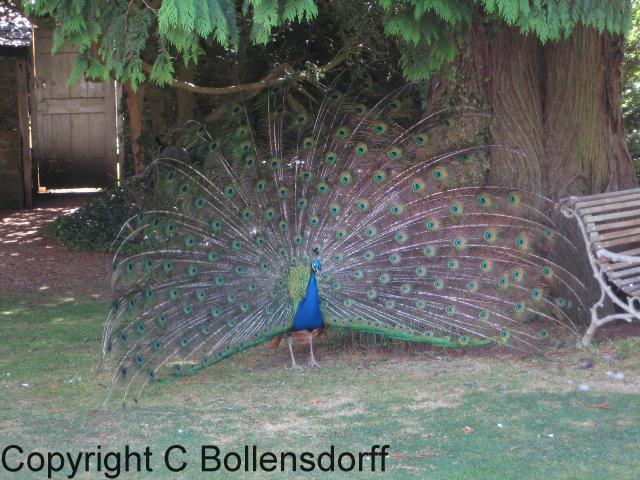 126_1217Oxfordshire087