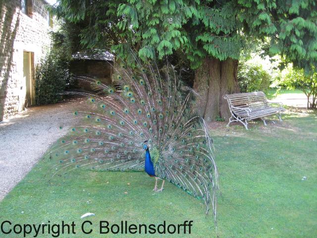 126_1225Oxfordshire088