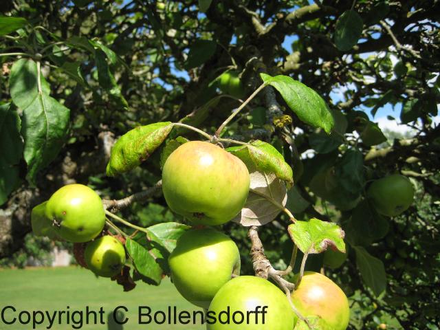 126_1281Oxfordshire104