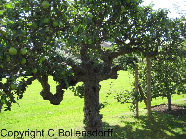 126_1282Oxfordshire105