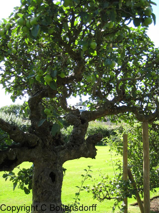 126_1283Oxfordshire106